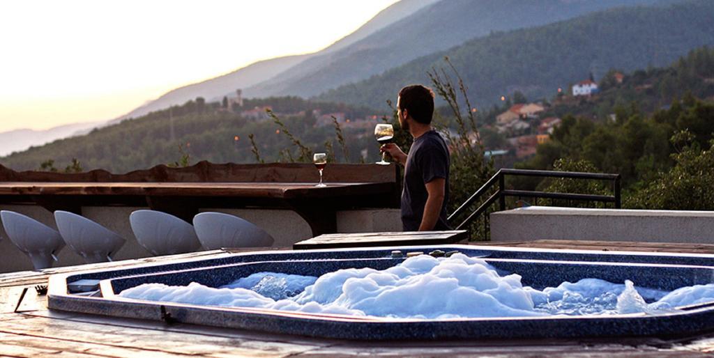 Roof Of The Galilee Villa Amirim Rum bild